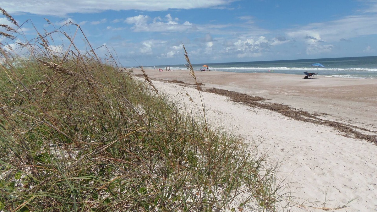 Fernandina Beach House | Amelia Island - Best Deal on the Beach - Pets Allowed