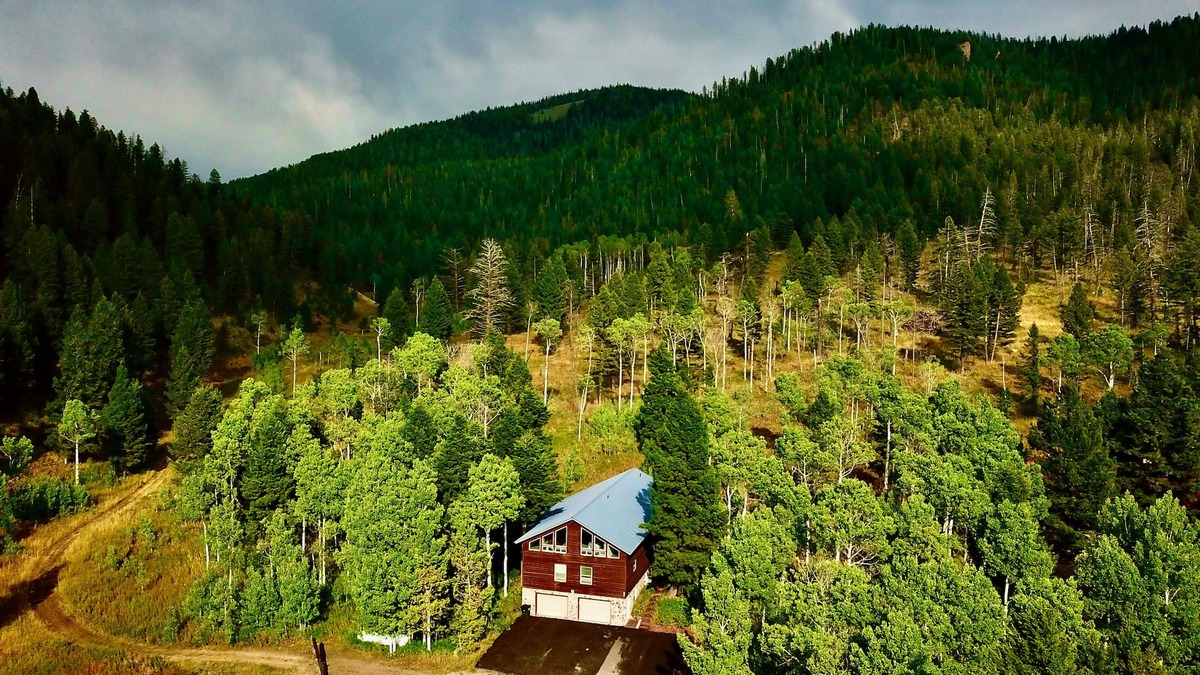 Island Park Cabin | American Bison Lodge+10Miles2YNP+Hottub+Wifi+AC
