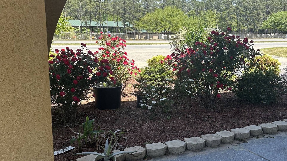 Cherryvale Hotel | American Inn