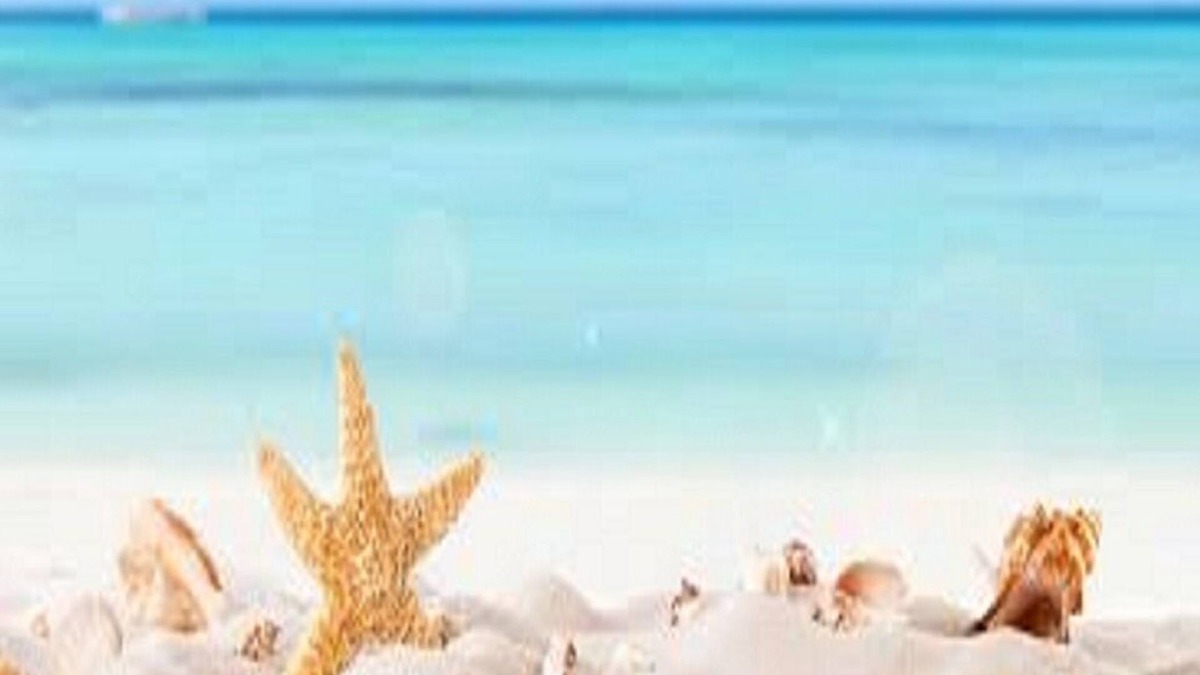 Marina di Mancaversa Apartment | Amethyst apartment near Gallipoli