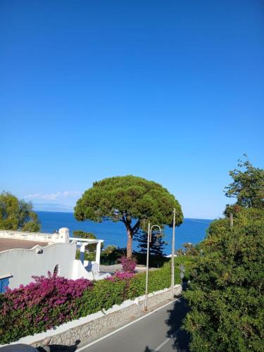 Zona LIII Tomba di Nerone Villa | Amici di Villa Point Intera Villa