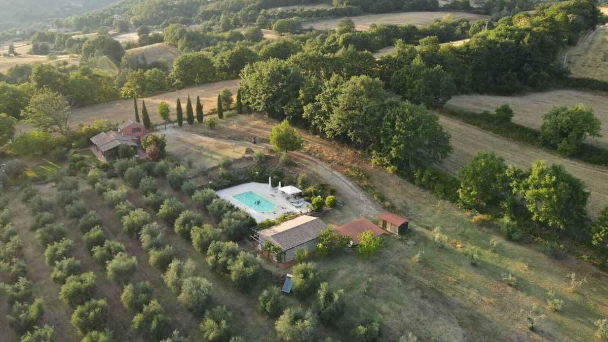 Sorano House | Among olive trees and silence: farmhouse with pool and olive grove in the Etruscan Maremma