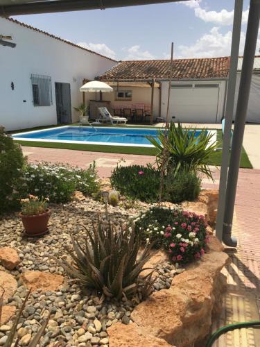 Alcazar de San Juan House | Amor Sin Fin