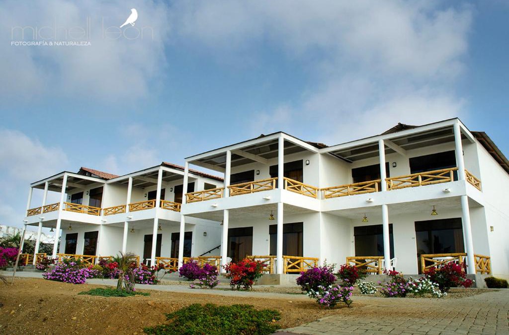 Caleta Cruz Hotel | Amotape Comfort