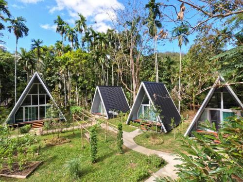 Khlong Sok House | Ample Forest Khao Sok Farmstay