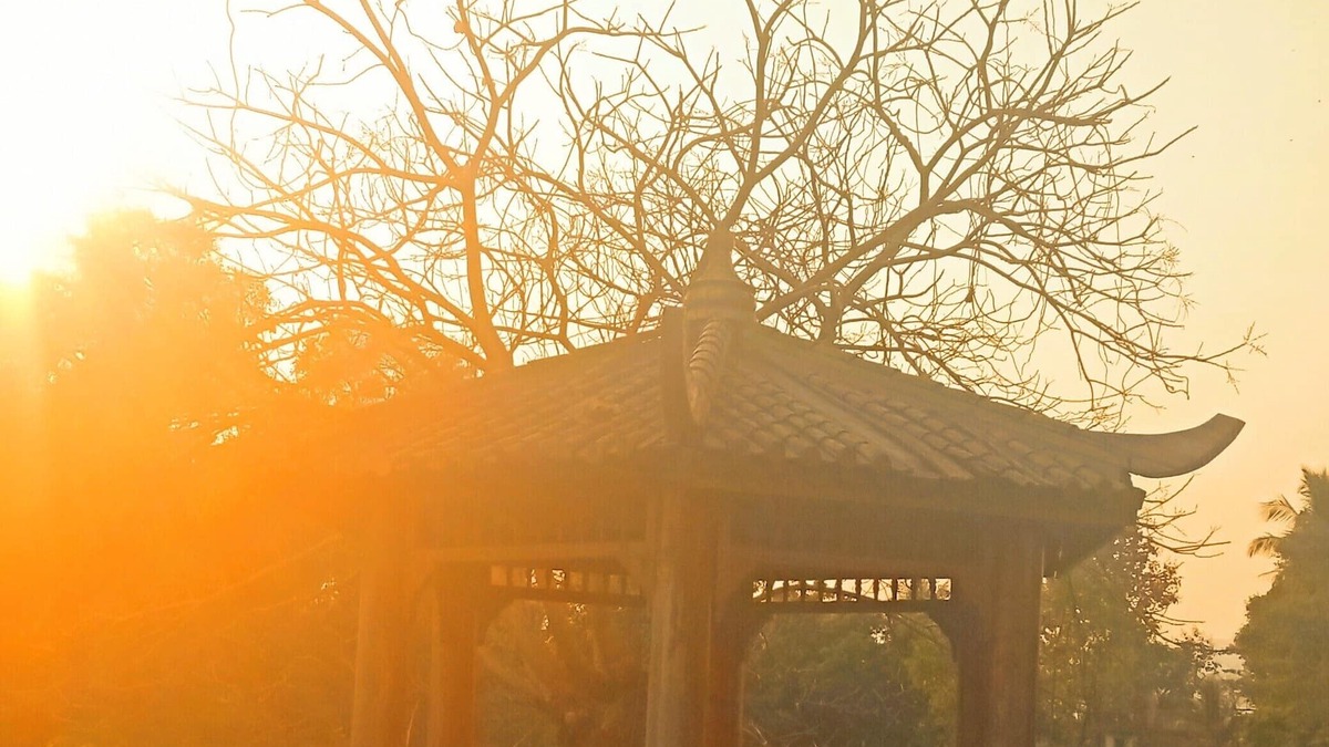 Pali House | An abode in the nest of nature. A home away from the hustle of the city.