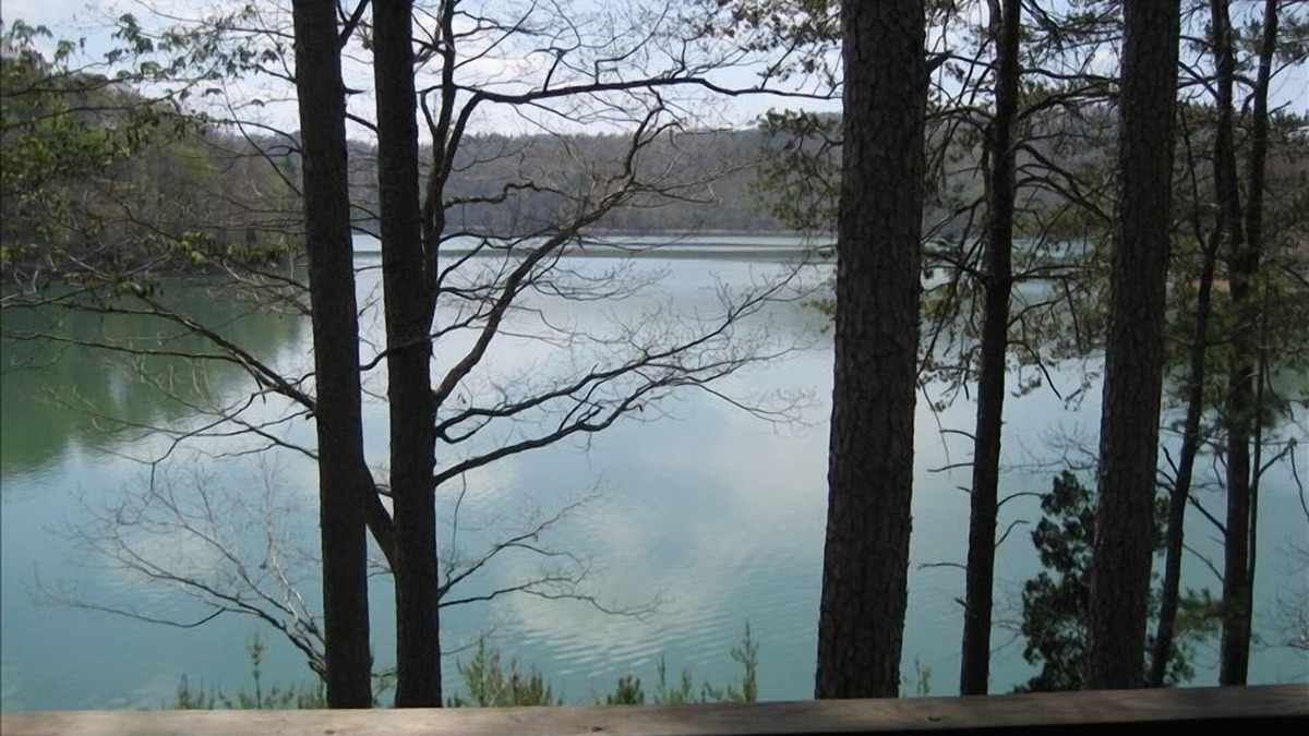 Big Creek Cabin | An amazing place to spend Thanksgiving and Christmas. Peaceful and great views.