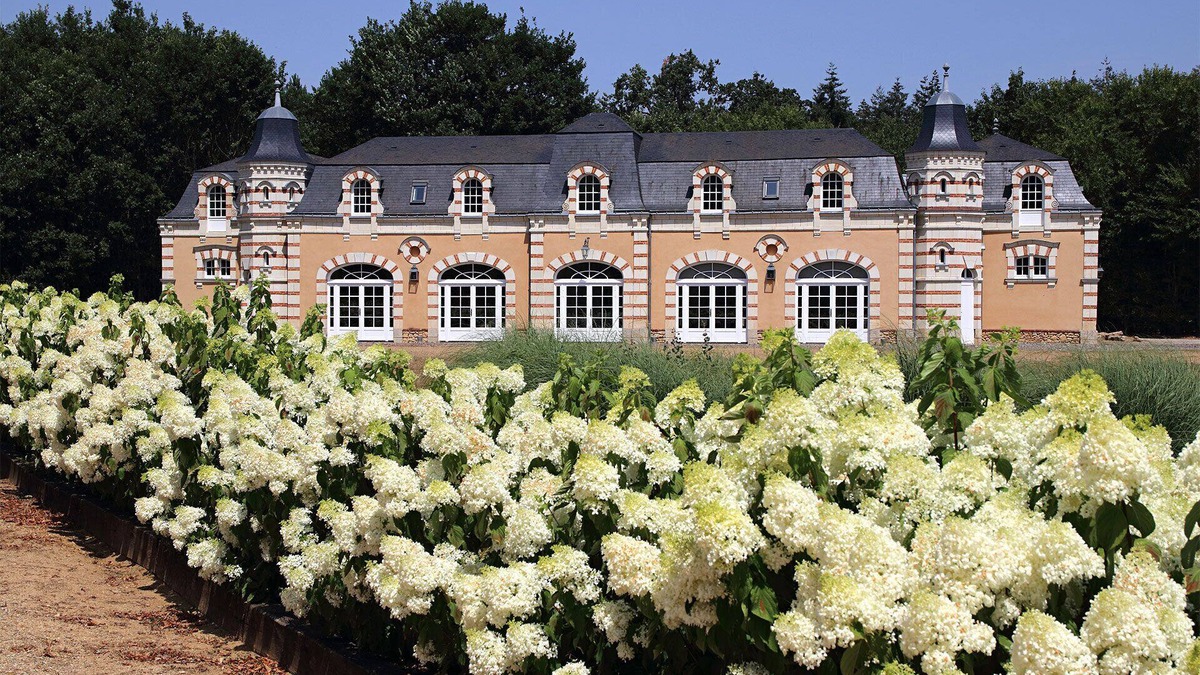 Durtal House | An exceptional gite in the Loire Valley, ideal for families