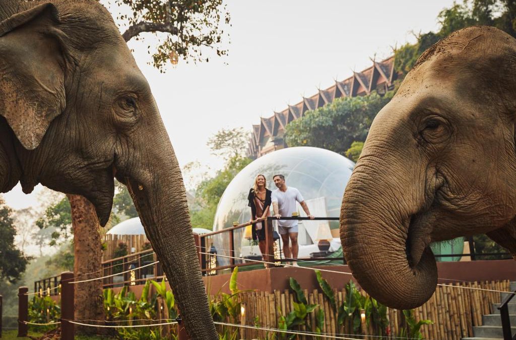 Sop Ruak Resort | Anantara Golden Triangle Elephant Camp & Resort