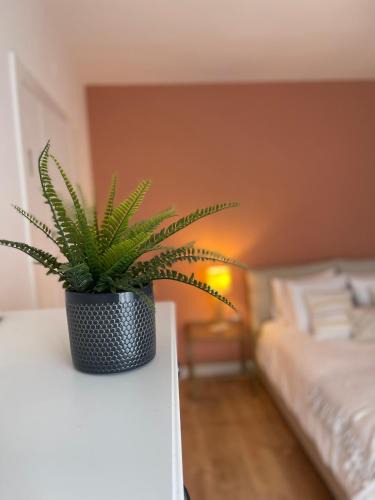 Hagondange Apartment | Anatole Résidence - FRANCE