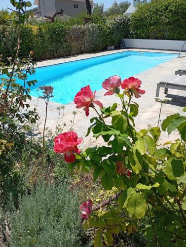 Anavyssos House | Anemelia & Helios Studio