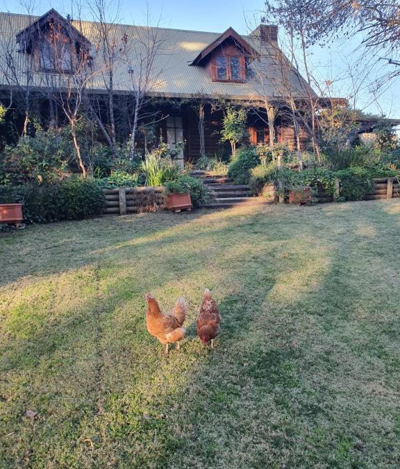 Angaston House | Angaston by the Winter Creek