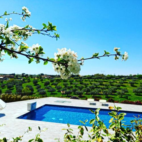 Formello House | angolo di paradiso