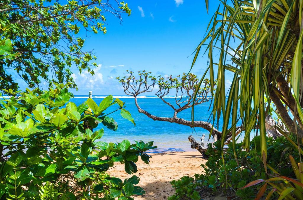 Kilauea House | Anini Ohana Hale TVNC#4255