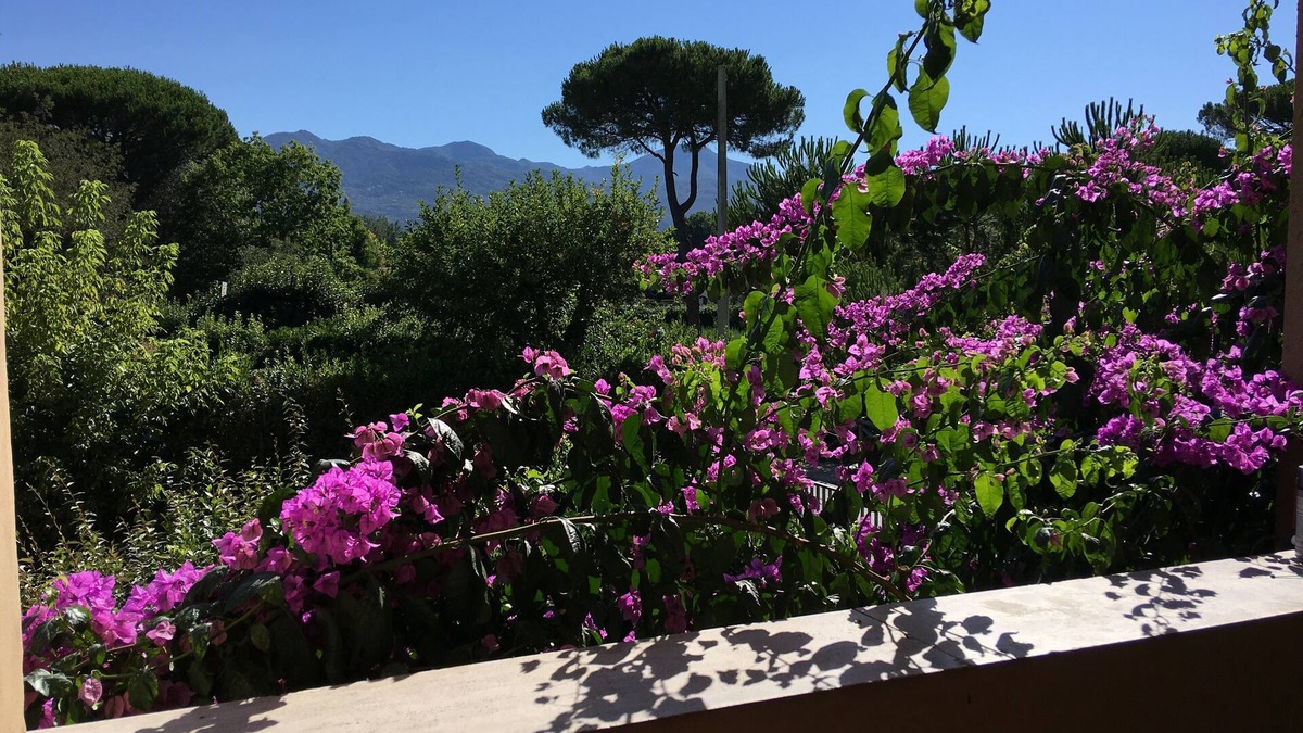 Pietrasanta House | Anna's House, in Forte dei Marmi.