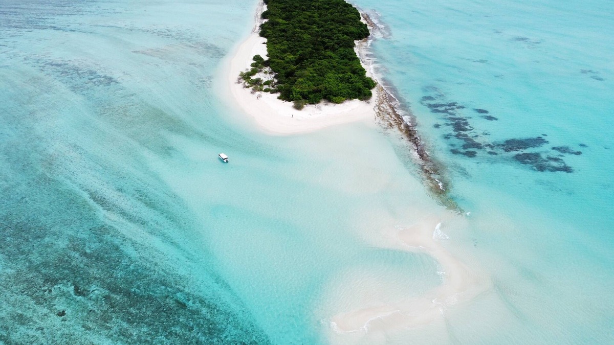 Hoarafushi House | Annama Lodge And Dive
