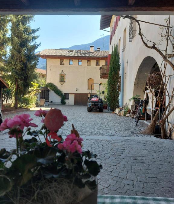 Salorno Apartment | Ansitz von Wohlgemuth