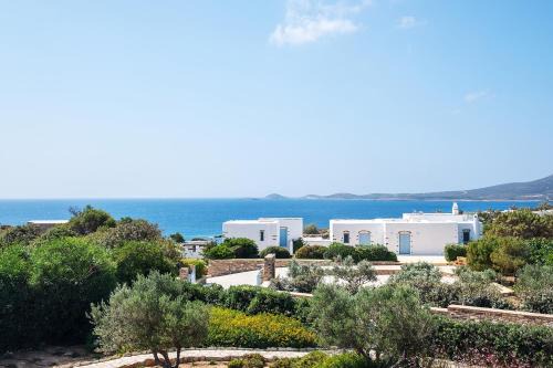 Soros Villa | Antiparos Olive House