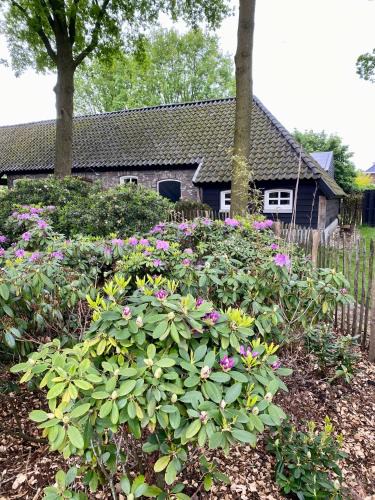 Municipality of Asten House | Antoniushofke