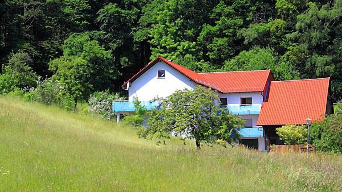 Siedelsbrunn Apartment | Apartment in an idyllic forest location with private balcony and terrace