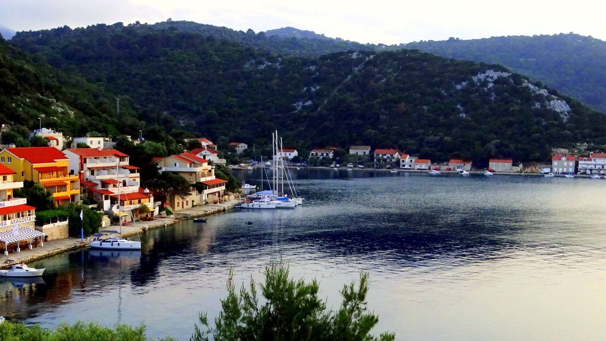 Zaklopatica Apartment | Apartments Graciela (53213-A2) - Zaklopatica - island Lastovo