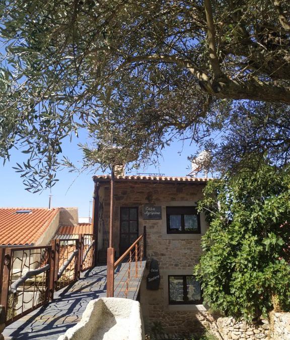 Aldeadavila de la Ribera House | Apartamento La Agripina