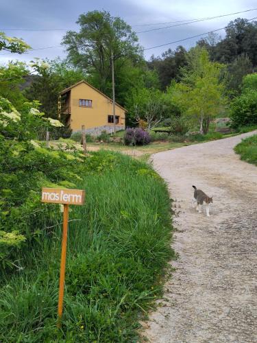 Sant Esteve d'en Bas Apartment | Apartament a Mas l'Erm