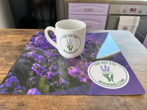 Skarzysko-Kamienna Apartment | Apartament Lawendowy