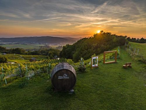 gmina Plesna Apartment | Apartament w Winiarni