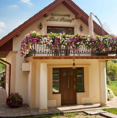 Solec-Zdroj Apartment | Apartament Róża