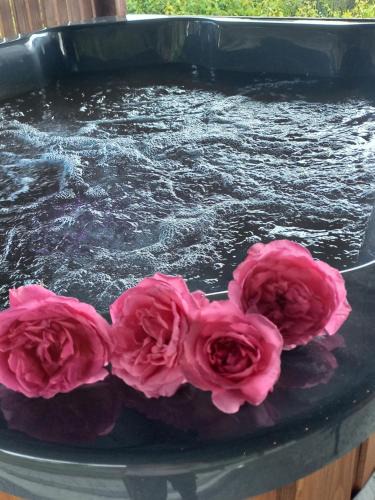 Sucha Beskidzka Apartment | apartament simonka z jacuzzi zawoja