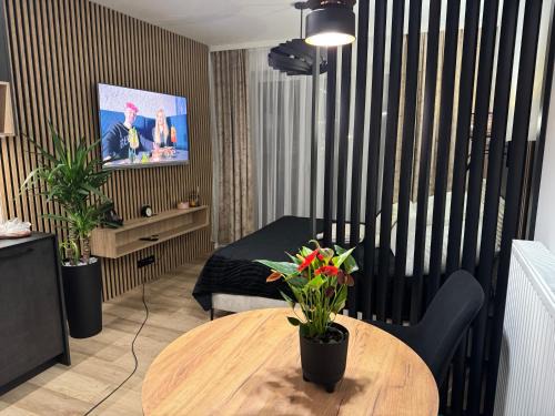 Zamosc Apartment | Apartament Zamojskie Echo