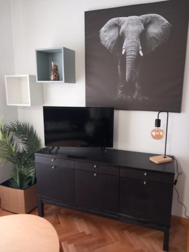 Aranjuez Apartment | Apartamento Amazónico en Aranjuez