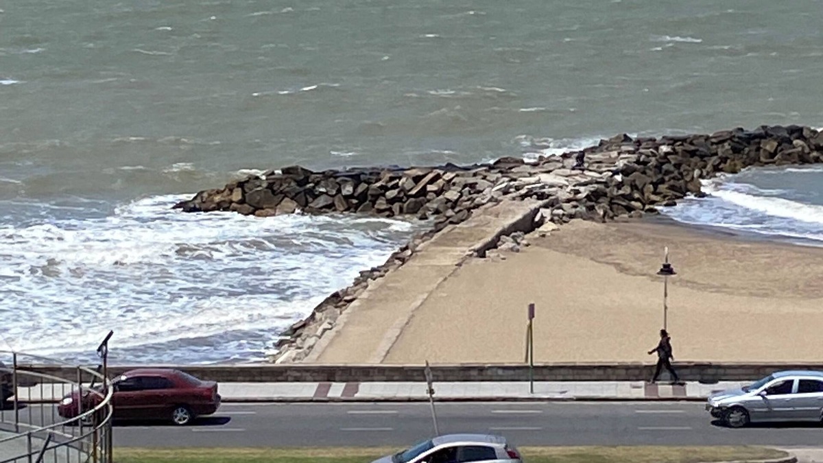 Mar del Plata Apartment | Apartamento Moderno y Confortable en Mar del Plata