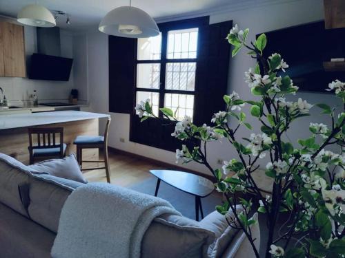 Pastrana Apartment | Apartamento Palacio de los Burgo