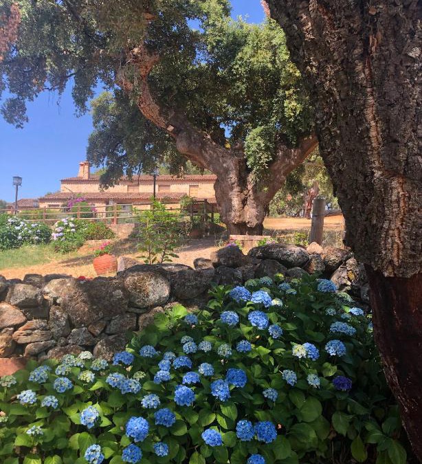 Valencia de Alcantara Apartment | Apartamentos Rurales La Macera ****