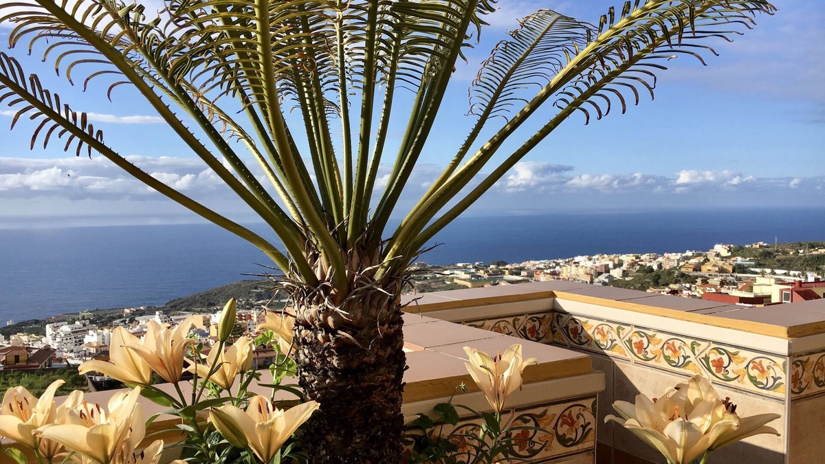 El Guincho Hotel | Apartamentos Estrella del Norte