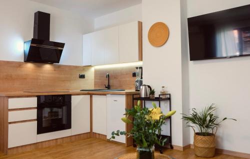 Pozega Apartment | Apartman Luka