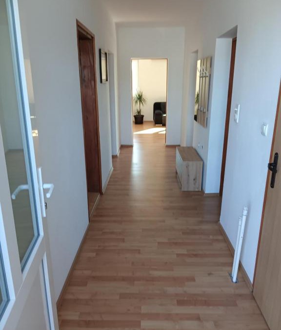 Ilok Apartment | Apartman Marica