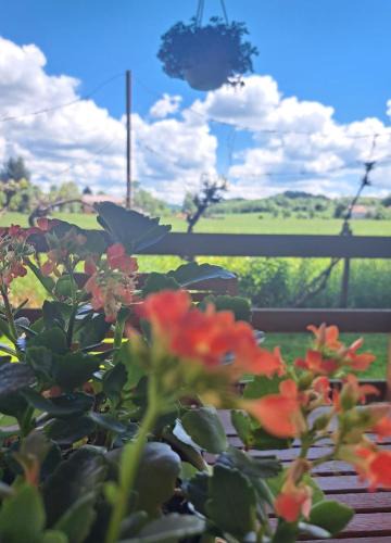 Perusic Apartment | Apartman Mia