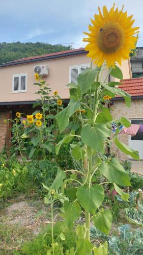 Slivno Apartment | Apartman Mustapić