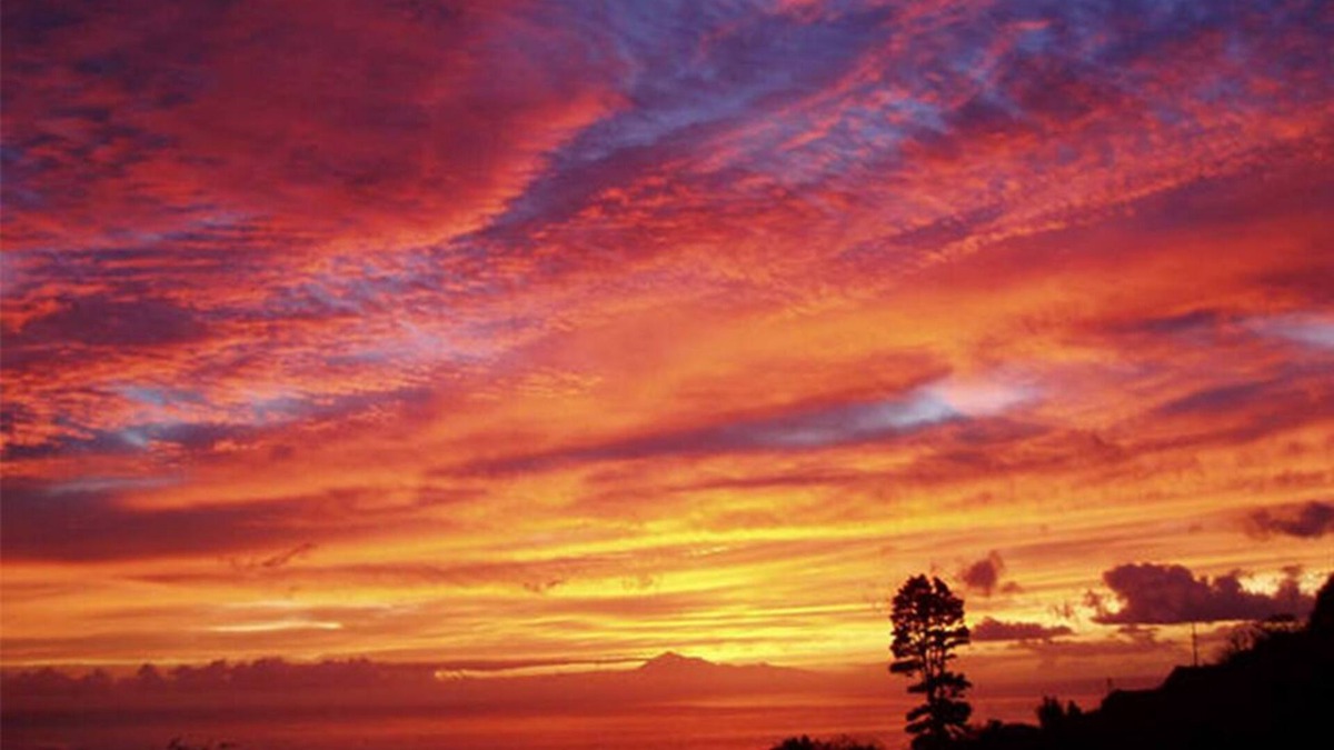 Santa Cruz de la Palma Apartment | Apartment in biological farm