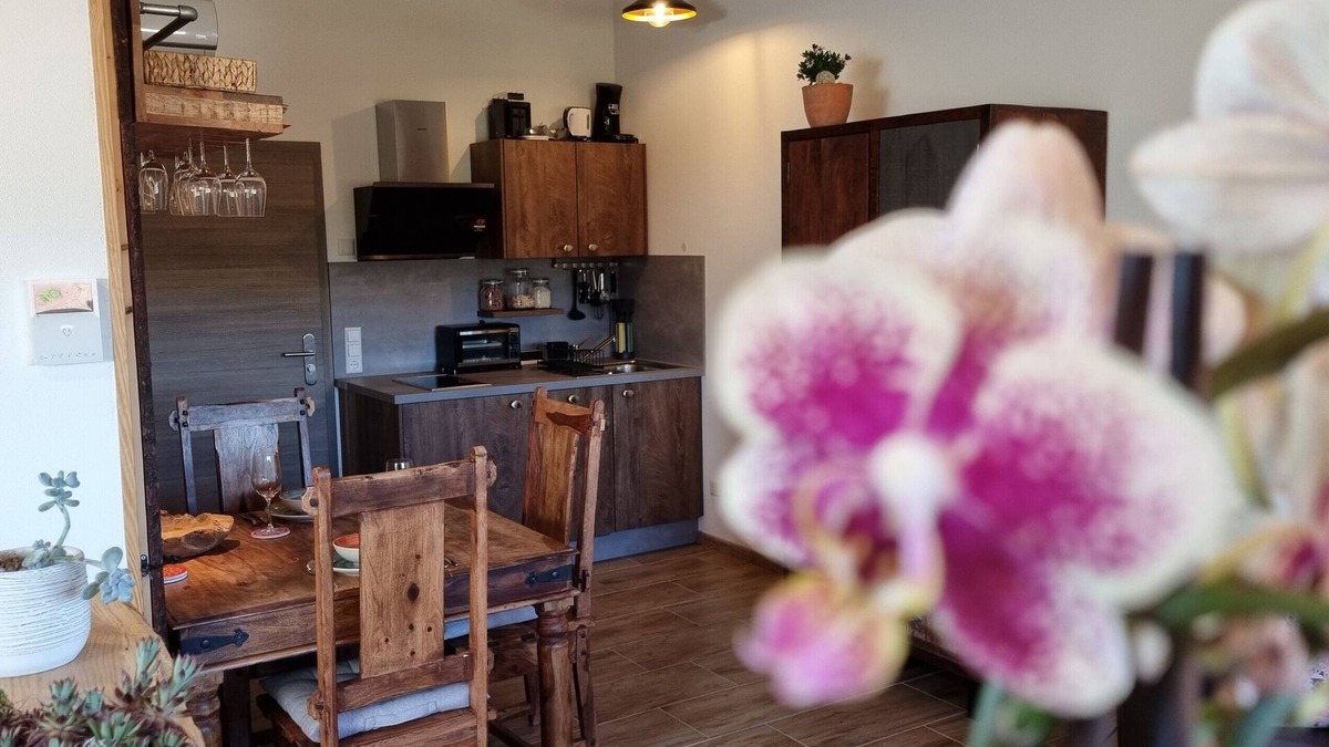 Sasbach am Kaiserstuhl Apartment | Apartment 'A' with Mountain View, Wi-Fi and Air Conditioning