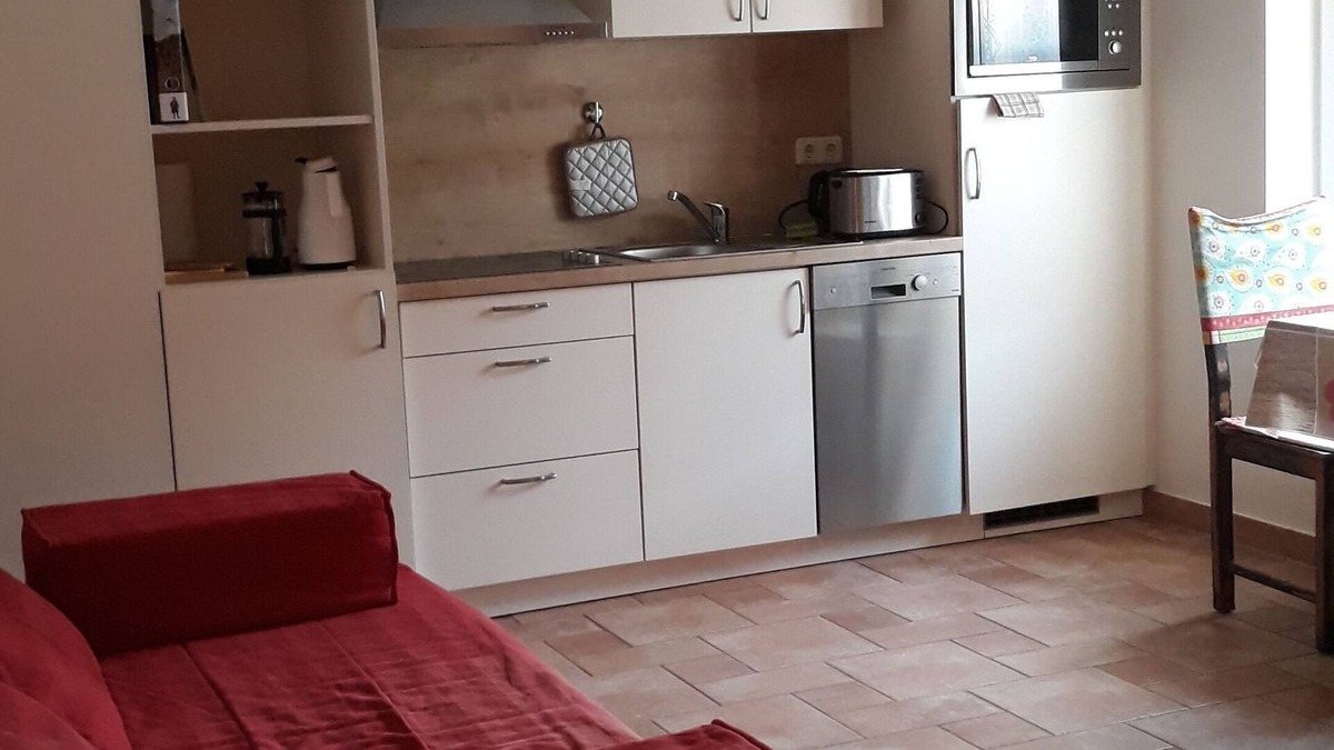 Byhleguhre Apartment | Apartment 1, combined living room/bedroom, kitchen, shower/WC, terrace - Spreewald