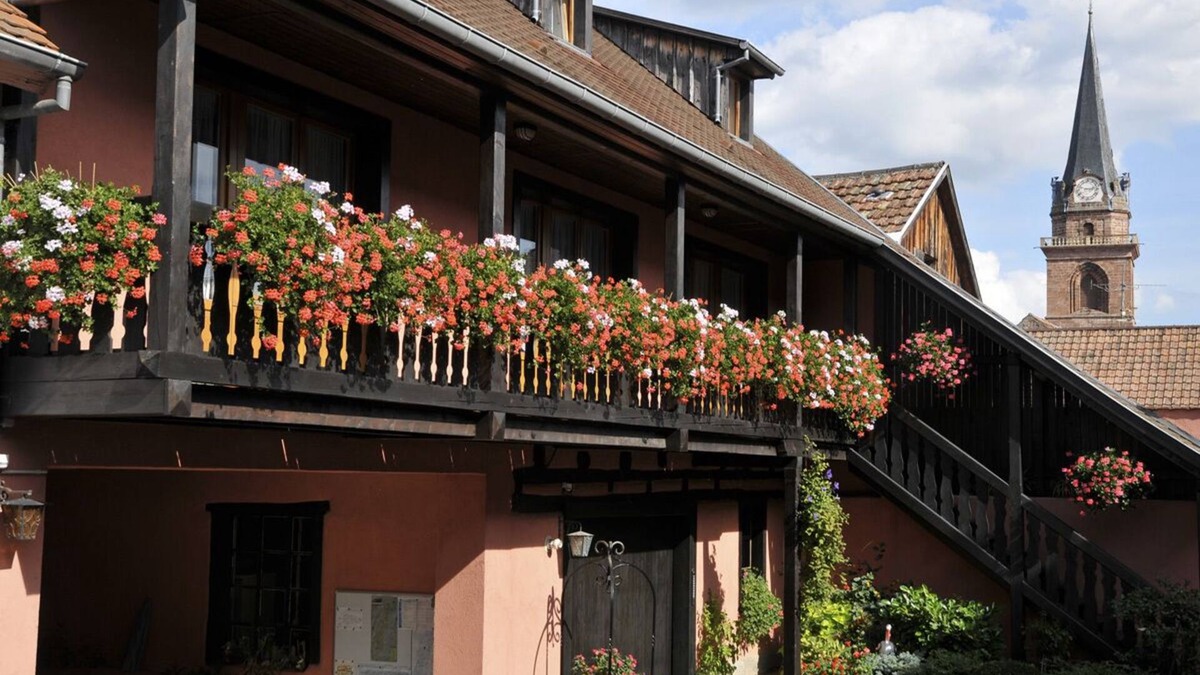 Bergheim Apartment | Apartment 2: Holiday apartment in a quiet private property