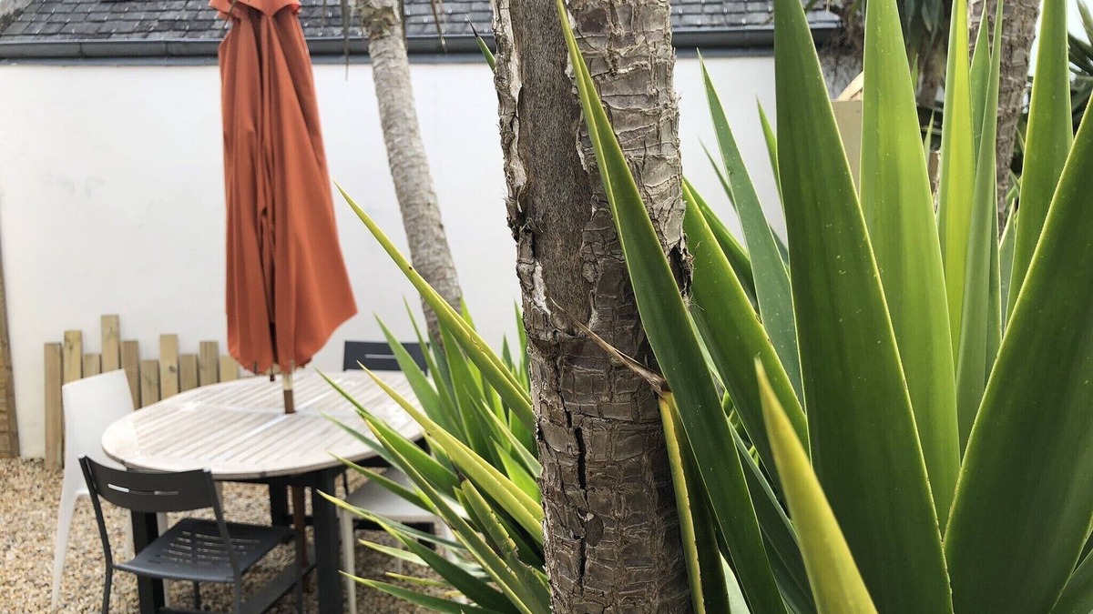 Nevez House | Apartment 4/6 people on the ground floor The beach at 500 meters
