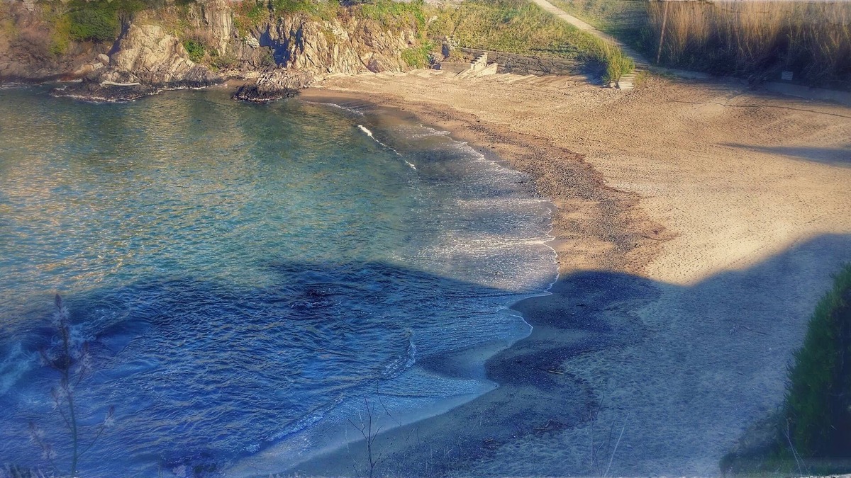 Collioure Apartment | Apartment 5 people, feet in the water, sea view, Collioure