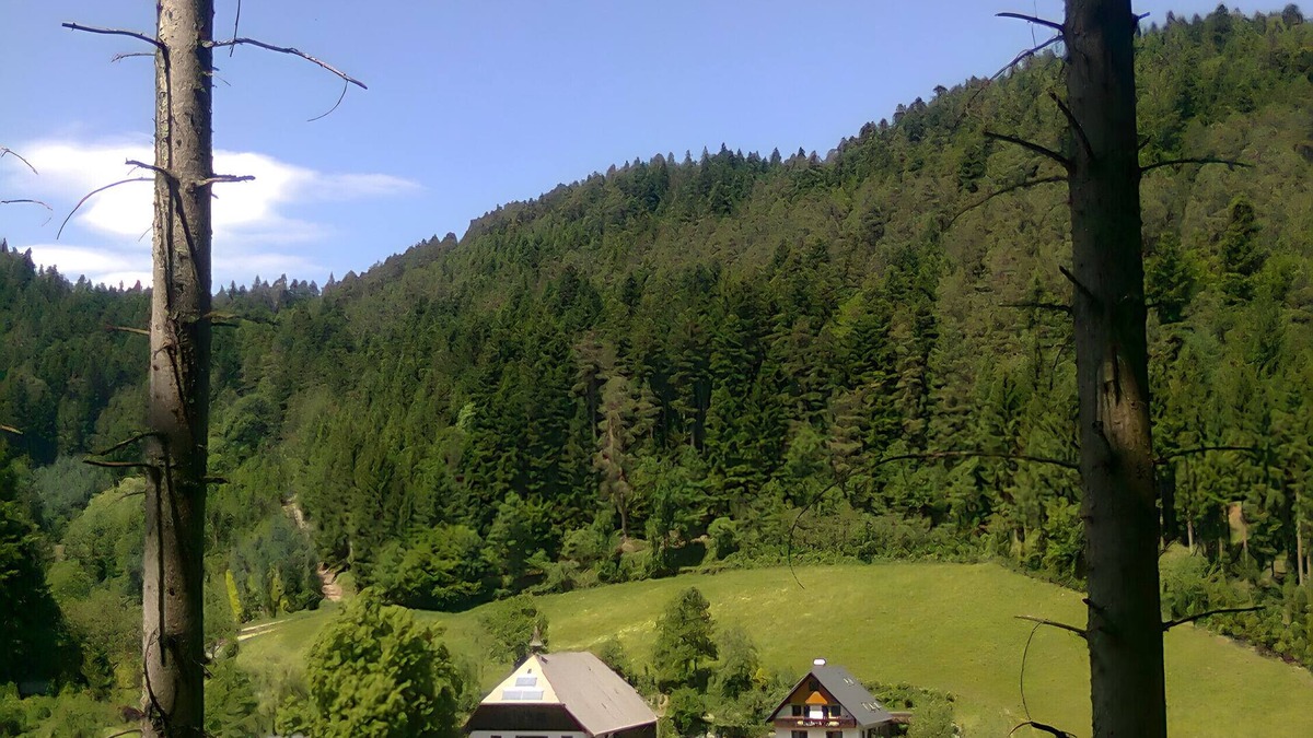 Hornberg Apartment | Apartment '80 sqm' with Mountain View, Private Terrace and Wi-Fi