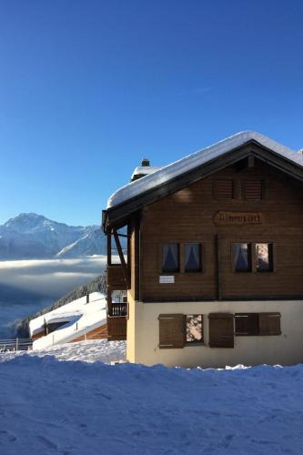 Riederalp Apartment | Apartment Almenrausch 1- OG Süd-Ost by Interhome