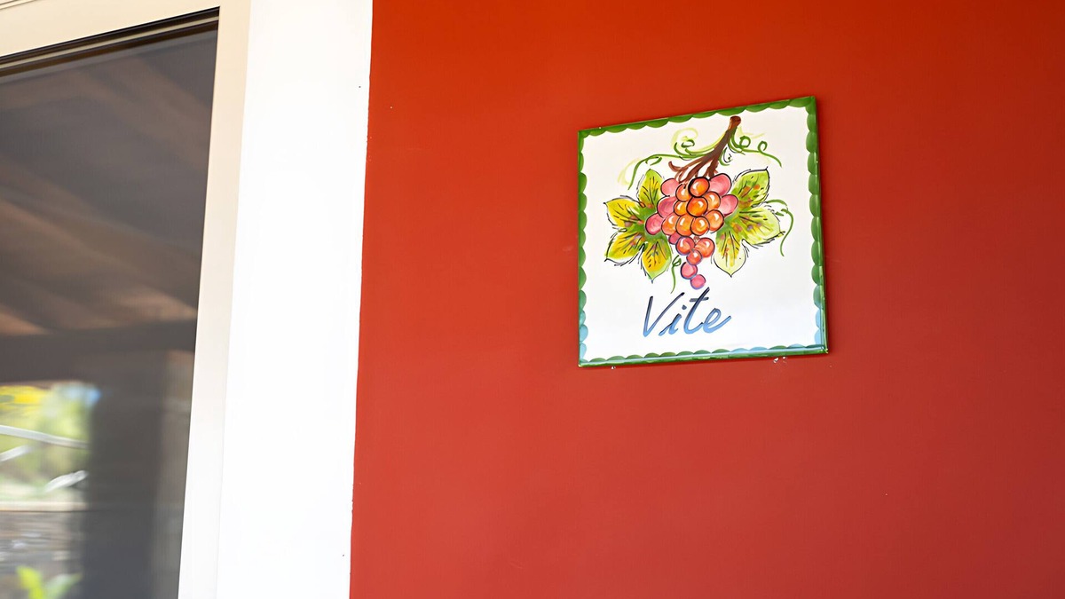 Montecorice Apartment | Apartment 'Appartamento Vite Vista Piscina' with Sea View, Wi-Fi and Air Conditioning